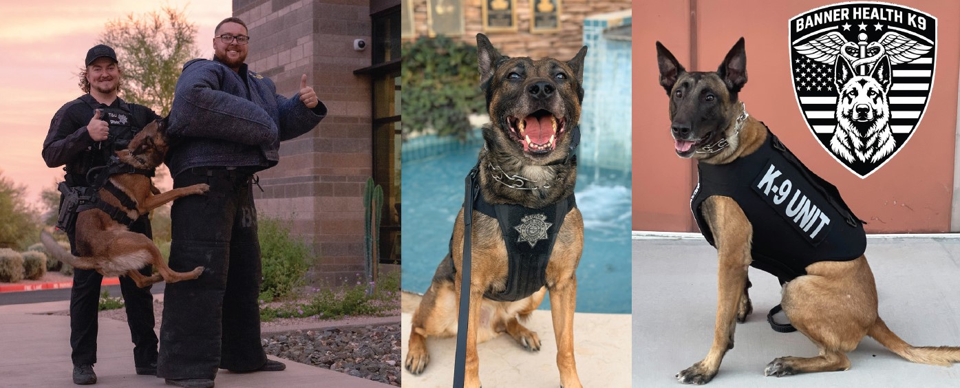 banner-health-k9s-2.jpg