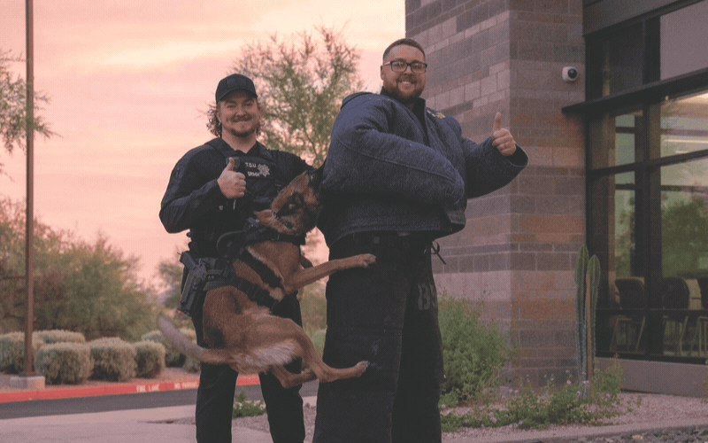 banner-k9s_800x500 (1)
